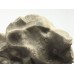 Stromatopora Stromatopora